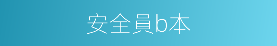 安全員b本的同義詞