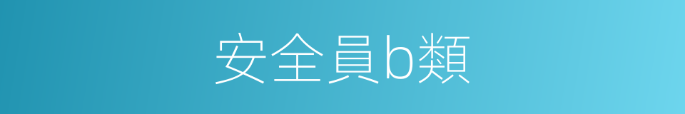 安全員b類的同義詞