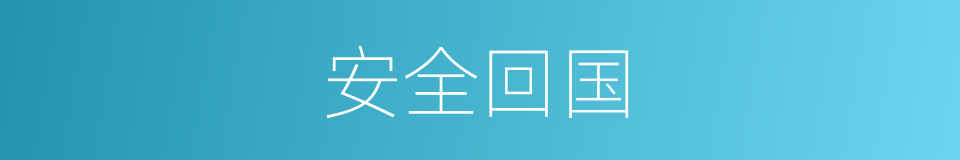 安全回国的同义词