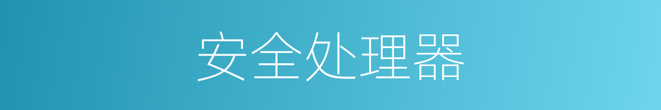 安全处理器的同义词