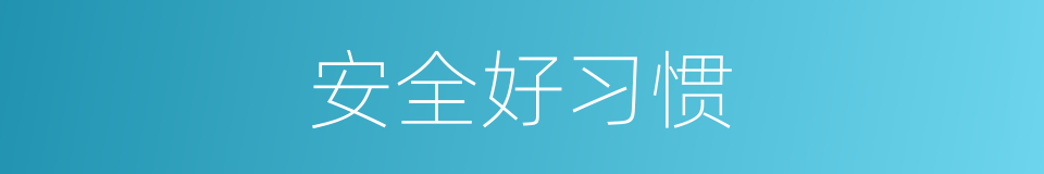 安全好习惯的同义词