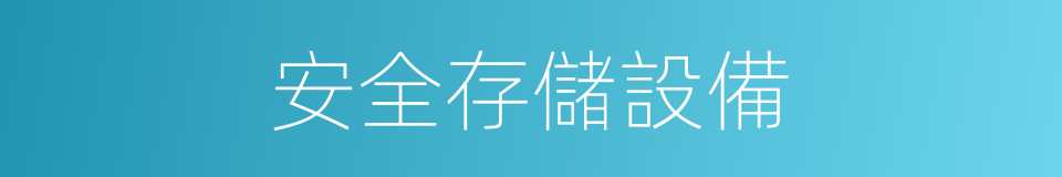 安全存儲設備的同義詞