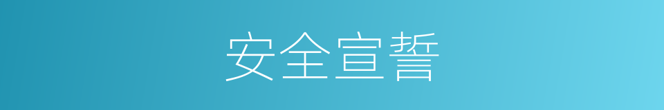 安全宣誓的同义词