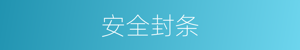 安全封条的同义词