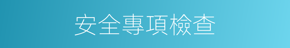 安全專項檢查的同義詞