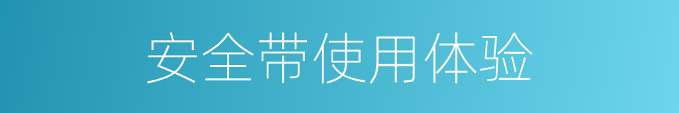 安全带使用体验的同义词
