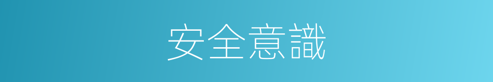 安全意識的意思