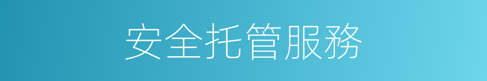 安全托管服務的同義詞