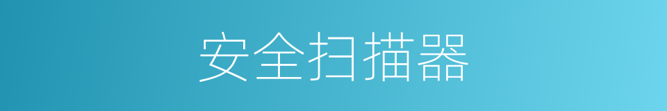 安全扫描器的同义词