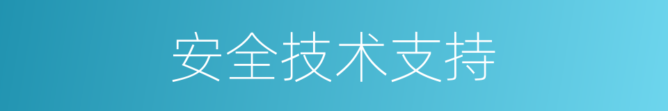 安全技术支持的同义词