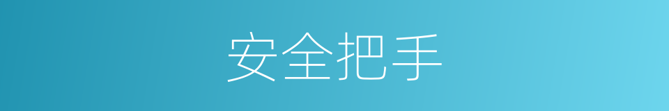 安全把手的同义词