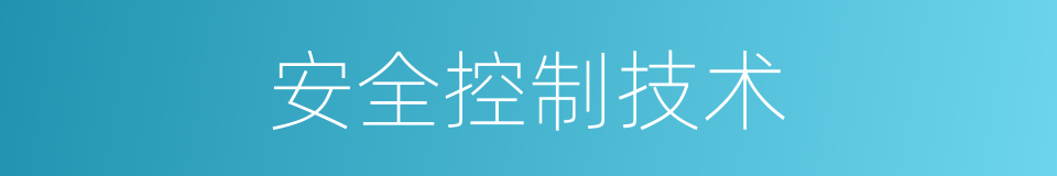 安全控制技术的同义词