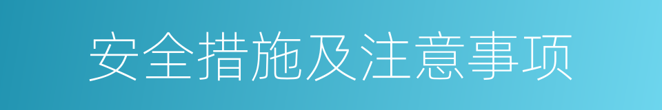 安全措施及注意事项的同义词