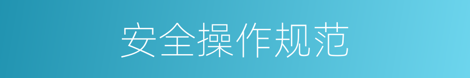 安全操作规范的同义词