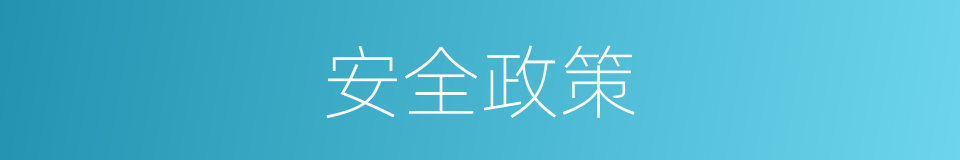 安全政策的同义词