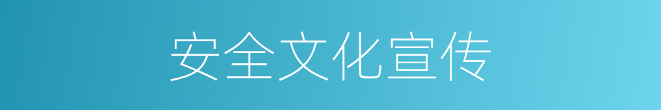 安全文化宣传的同义词