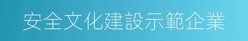 安全文化建設示範企業的同義詞