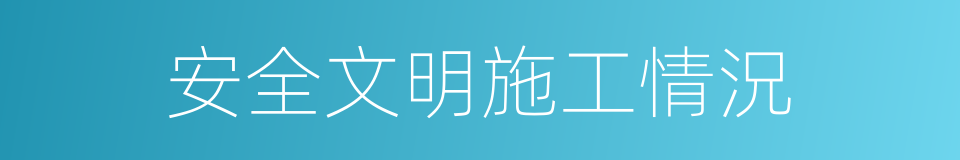 安全文明施工情況的同義詞