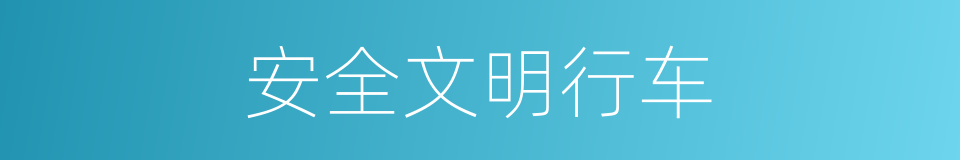 安全文明行车的同义词