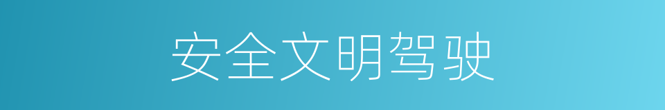 安全文明驾驶的同义词