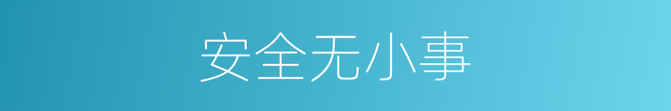 安全无小事的同义词