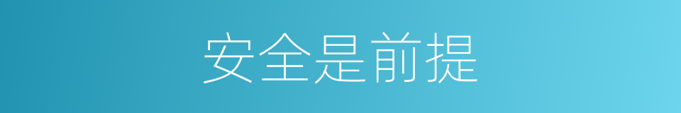 安全是前提的同义词