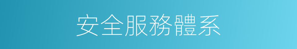 安全服務體系的同義詞