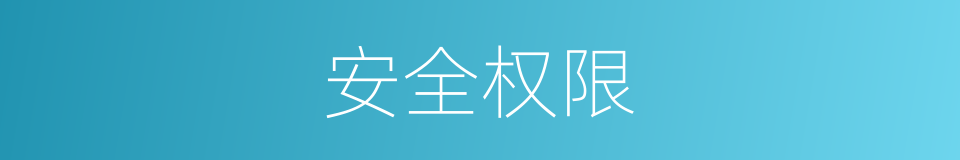 安全权限的同义词
