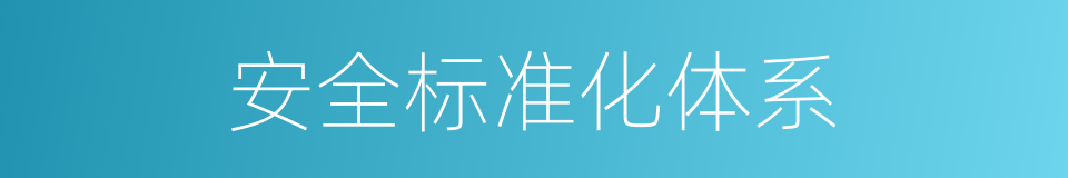 安全标准化体系的同义词