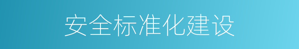 安全标准化建设的同义词