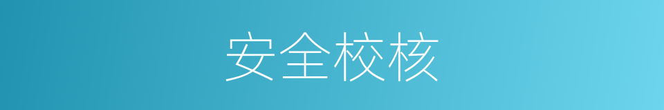 安全校核的同义词