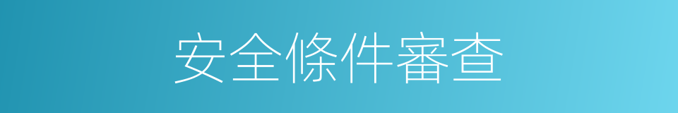 安全條件審查的同義詞