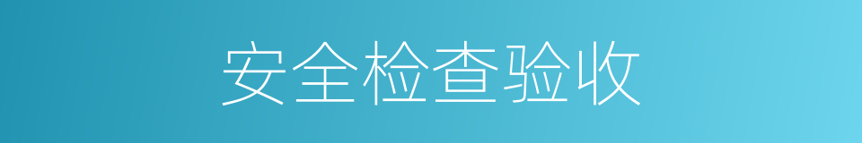 安全检查验收的同义词