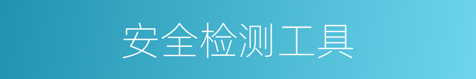 安全检测工具的同义词