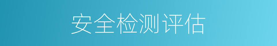 安全检测评估的同义词