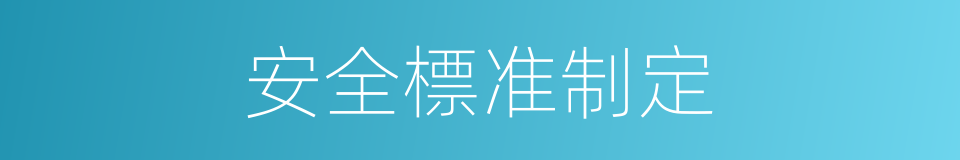 安全標准制定的同義詞