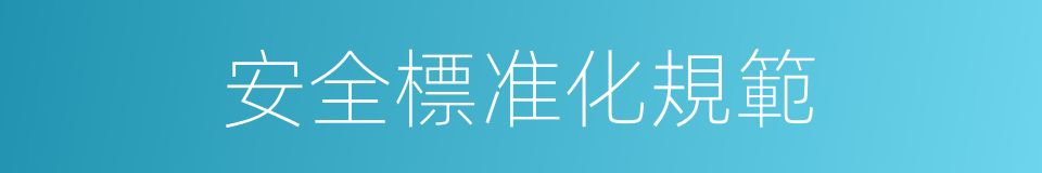 安全標准化規範的同義詞