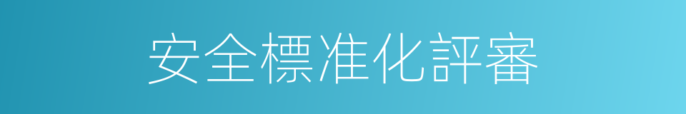 安全標准化評審的同義詞