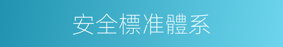 安全標准體系的同義詞