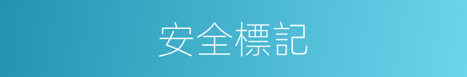 安全標記的同義詞