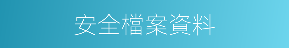 安全檔案資料的同義詞