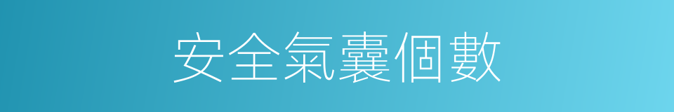 安全氣囊個數的同義詞