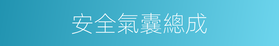 安全氣囊總成的同義詞