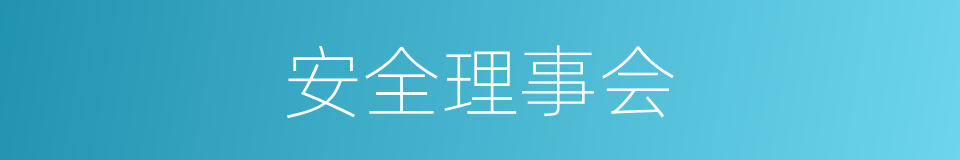 安全理事会的意思