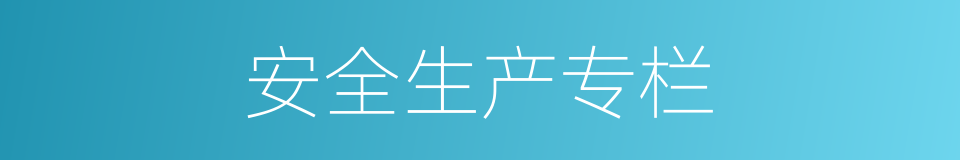 安全生产专栏的同义词