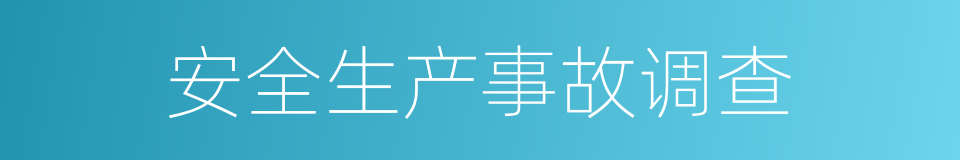 安全生产事故调查的同义词