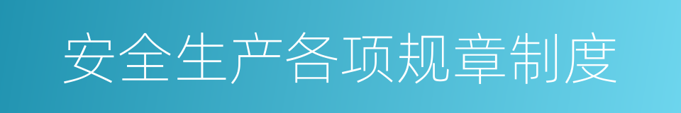 安全生产各项规章制度的同义词