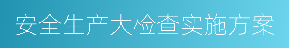 安全生产大检查实施方案的同义词