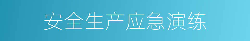 安全生产应急演练的同义词