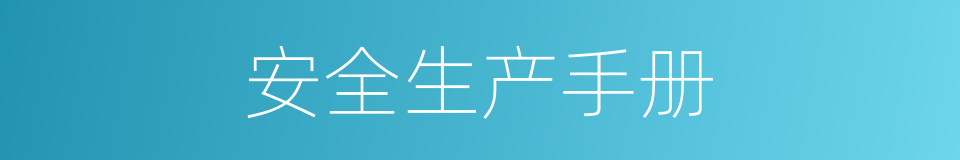 安全生产手册的同义词